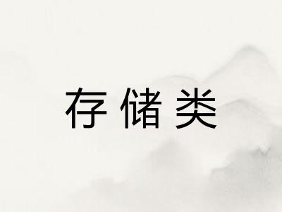 存储类