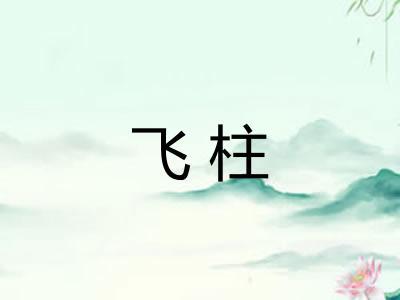 飞柱