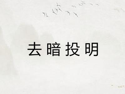 去暗投明
