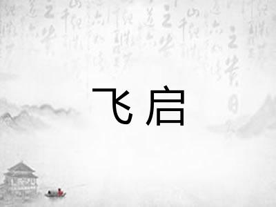 飞启