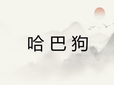 哈巴狗