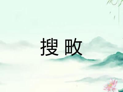 搜畋