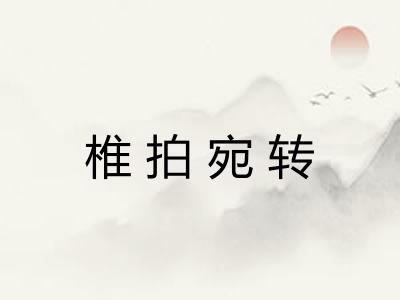 椎拍宛转