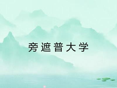 旁遮普大学