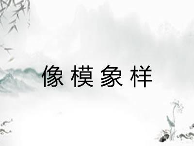 像模象样