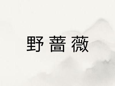 野蔷薇