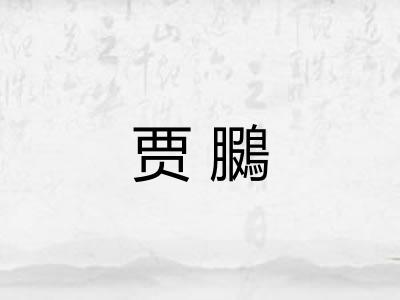 贾鵩