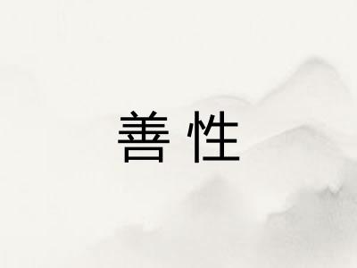 善性