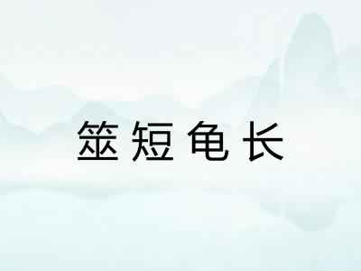 筮短龟长
