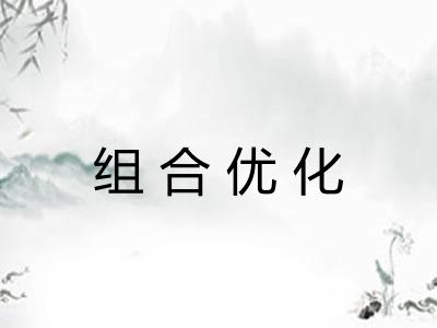 组合优化