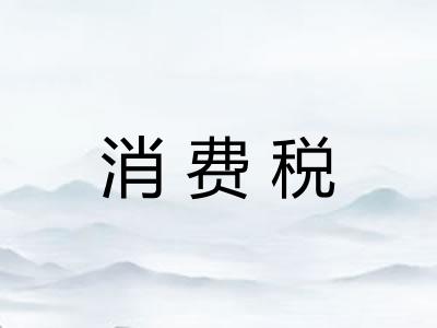 消费税