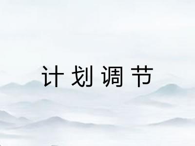 计划调节