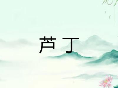 芦丁