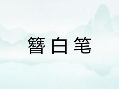 簪白笔