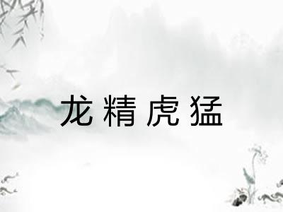 龙精虎猛