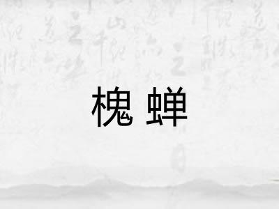 槐蝉