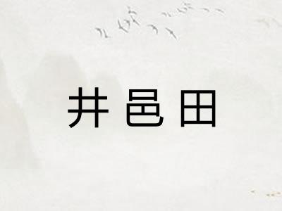 井邑田