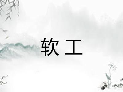 软工