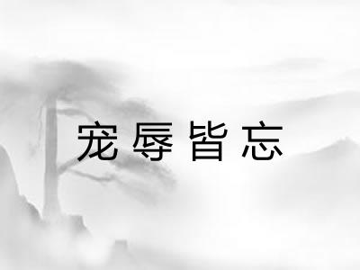 宠辱皆忘