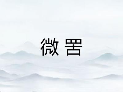 微罟