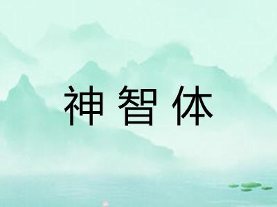神智体