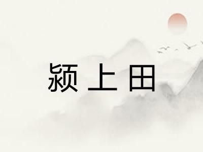 颍上田