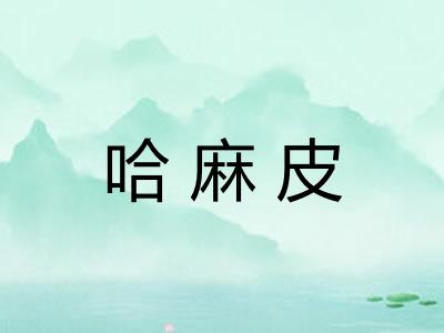 哈麻皮