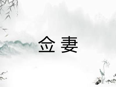 佥妻