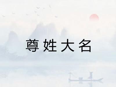 尊姓大名