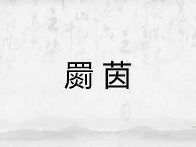 罽茵