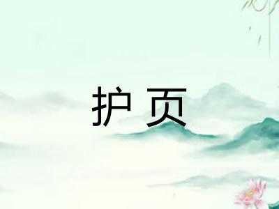 护页