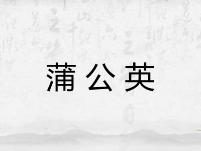 蒲公英