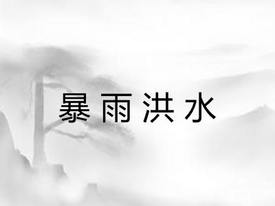 暴雨洪水