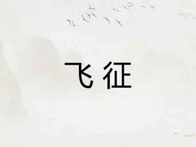 飞征