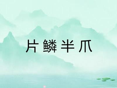 片鳞半爪
