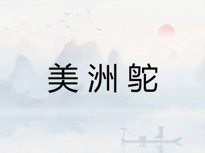 美洲鸵