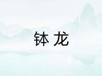 钵龙