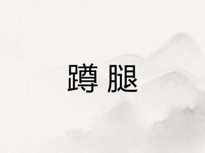 蹲腿