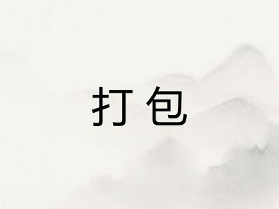 打包