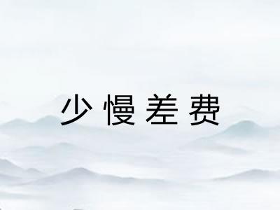 少慢差费