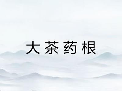 大茶药根