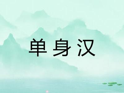 单身汉