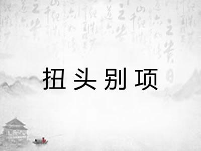 扭头别项
