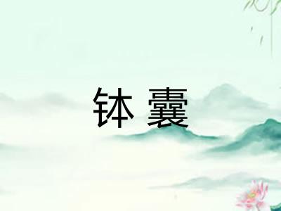 钵囊
