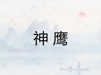 神鹰