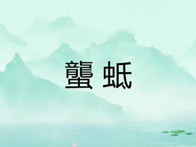 蠪蚳