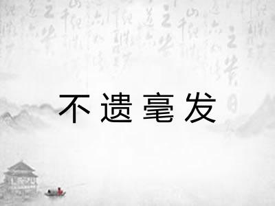 不遗毫发
