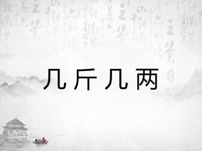 几斤几两