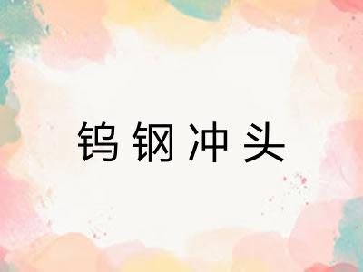 钨钢冲头