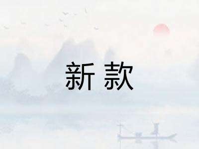 新款